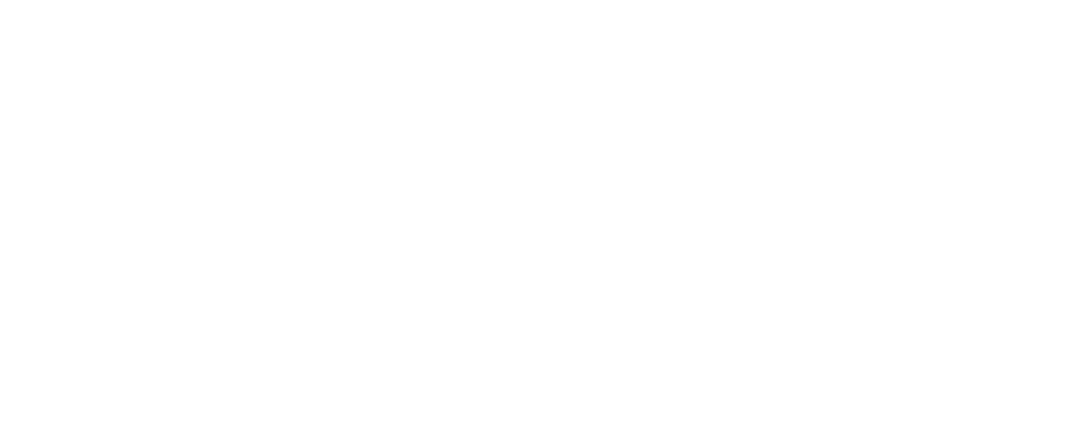 Logo Branco KMG Holding